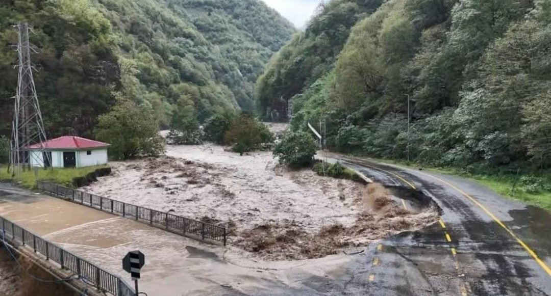 Rize’de Şiddetli yağışların yalnızca sel ve heyelana değil, bölgedeki doğal yaşamın dengesine de bozdu. Yavru ayılar tünele sığındı