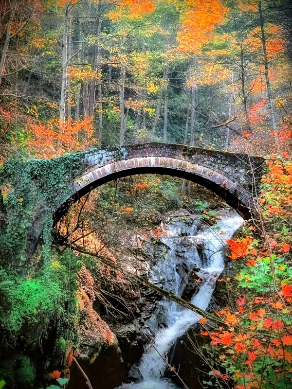 Doğanın Her Rengiyle Şalpazarı’nda Zeynelin Köprüsü Büyülüyor